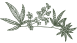 Discover the wide range of CBD products
